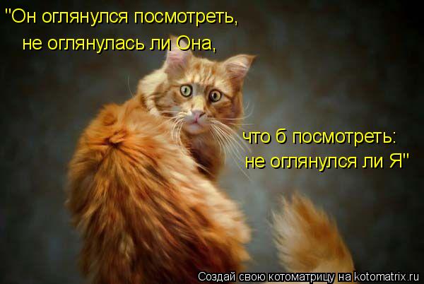Котоматрица: "Он оглянулся посмотреть, не оглянулась ли Она, что б посмотреть: не оглянулся ли Я"