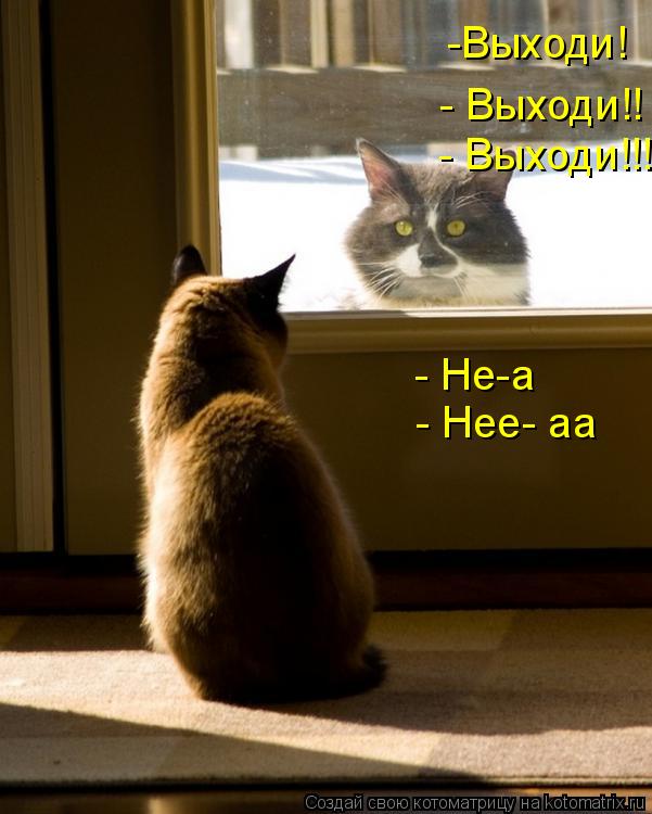Котоматрица: -Выходи! - Не-а - Выходи!! - Нее- аа - Выходи!!!