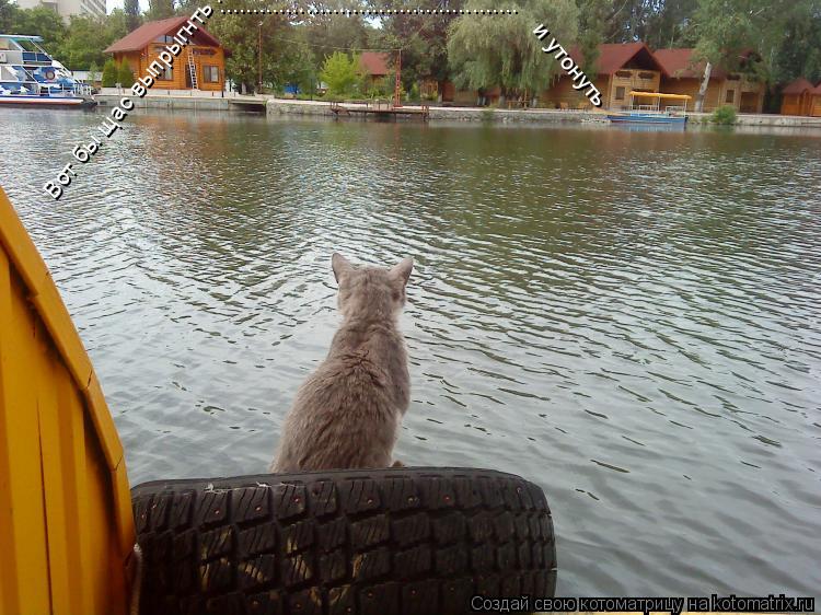 Котоматрица: Вот бы щас выпрыгнть .....................................................и утонуть ............................................. и утонуть