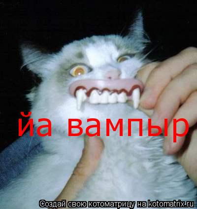 Котоматрица: йа вампыр