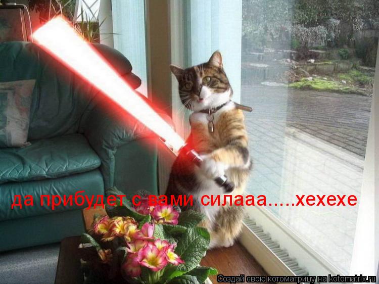 Котоматрица: да прибудет с вами силааа.....хехехе