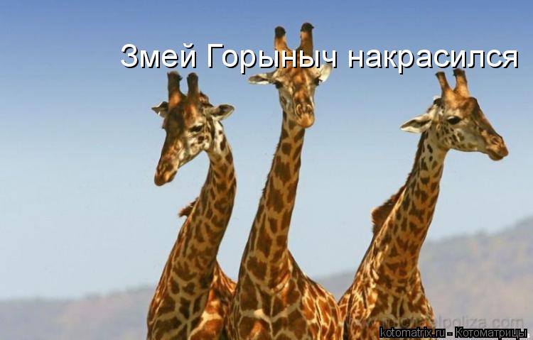 Змей Горыныч накрасился... Котоматрица: Змей Горыныч накрасился