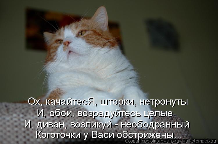 Ох, качайтесЯ, шторки, нетронуты И, обои, возрадуйтесь целые И, диван, возликуй - неободранный Когото... Котоматрица: Ох, качайтесЯ, шторки, нетронуты И, обои, возрадуйтесь целые И, диван, возликуй - неободранный Коготочки у Васи обстрижены...