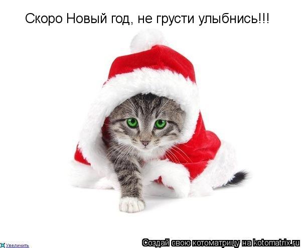 Скоро Новый год, не грусти улыбнись!!!... Котоматрица: Скоро Новый год, не грусти улыбнись!!!