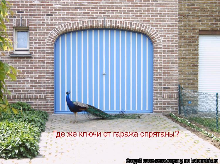 Где же ключи от гаража спрятаны?... Котоматрица: Где же ключи от гаража спрятаны?
