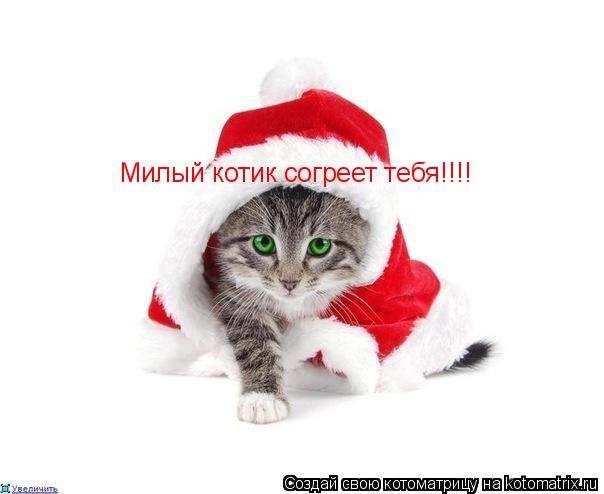 Милый котик согреет тебя!!!!... Котоматрица: Милый котик согреет тебя!!!!