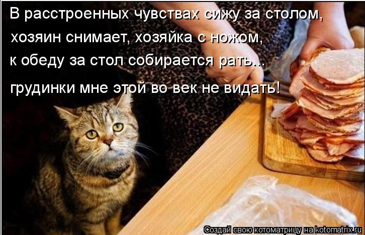 к обеду за стол собирается рать... В расстроенных чувствах сижу за столом, хозяин снимает, хозяйка с ... Котоматрица: к обеду за стол собирается рать... В расстроенных чувствах сижу за столом, хозяин снимает, хозяйка с ножом, грудинки мне этой во век не видать