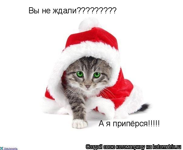 Котоматрица: Вы не ждали????????? А я припёрся!!!!!