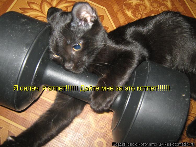 Котоматрица: Я силач, я атлет!!!!!! Дайте мне за это котлет!!!!!!