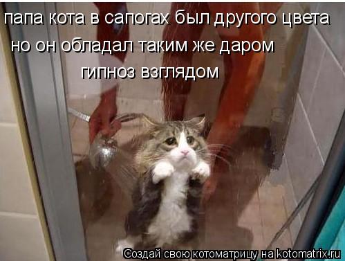 Котоматрица: папа кота в сапогах был другого цвета  но он обладал таким же даром гипноз взглядом