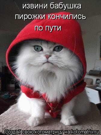 Котоматрица: извини бабушка пирожки кончились  по пути