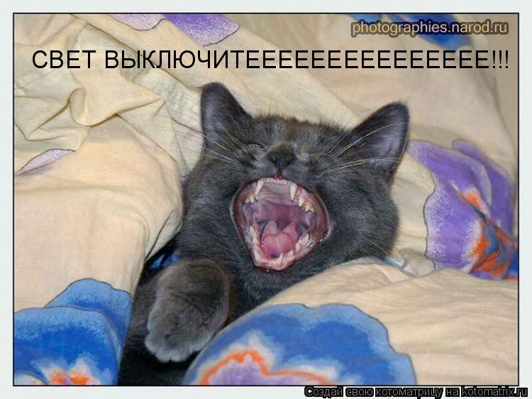 Котоматрица: СВЕТ ВЫКЛЮЧИТЕЕЕЕЕЕЕЕЕЕЕЕЕЕЕ!!!
