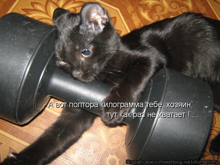 Котоматрица: - А вот полтора килограмма тебе, хозяин,  тут как раз не хватает !....