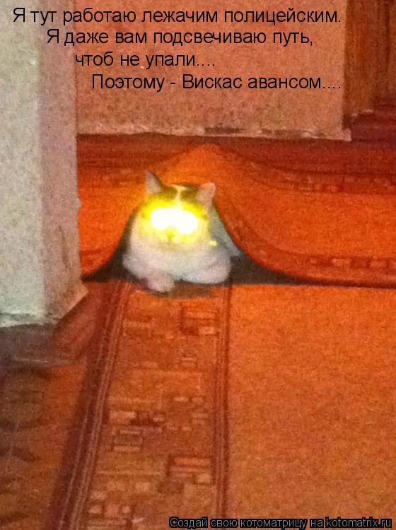 Котоматрица: Я тут работаю лежачим полицейским.  Я даже вам подсвечиваю путь,  чтоб не упали.... Поэтому - Вискас авансом....