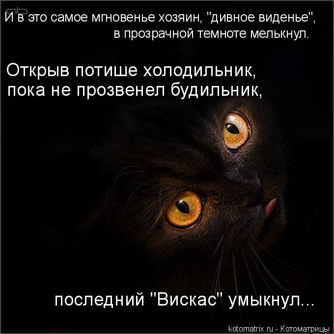 Котоматрица: И в это самое мгновенье хозяин, "дивное виденье",  в прозрачной темноте мелькнул. Открыв потише холодильник,  пока не прозвенел будильник,  по