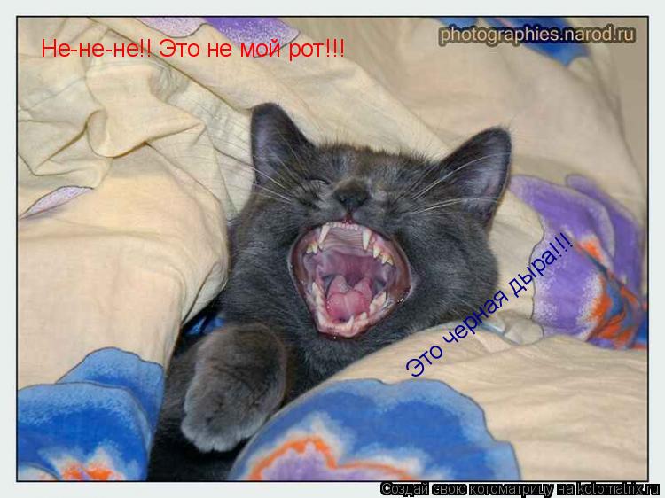 Не-не-не!! Это не мой рот!!! Это черная дыра!!!... Котоматрица: Не-не-не!! Это не мой рот!!! Это черная дыра!!!