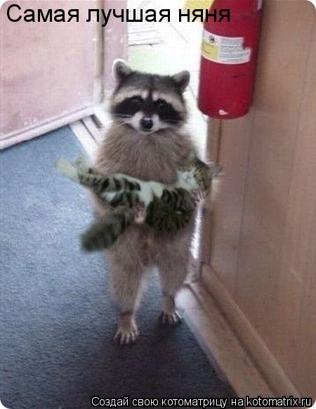 Котоматрица: Самая лучшая няня