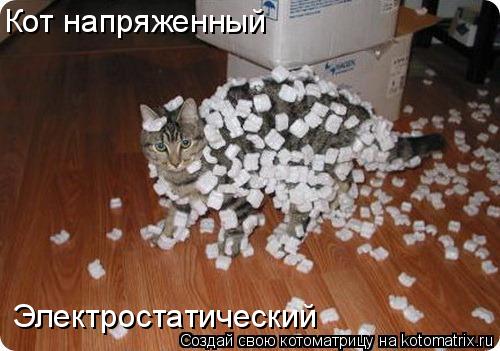 Котоматрица: Кот напряженный Электростатический
