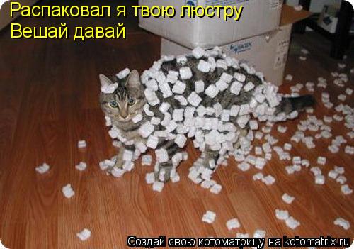 Котоматрица: Распаковал я твою люстру Вешай давай