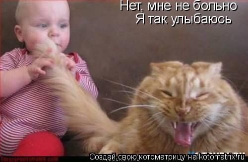 Котоматрица: Нет, мне не больно Я так улыбаюсь