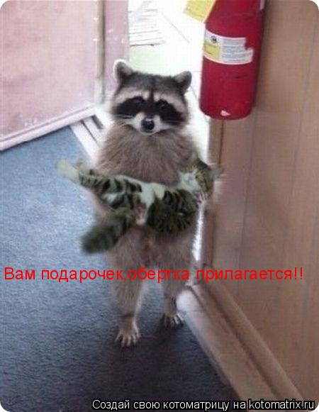 Котоматрица: Вам подарочек,обертка прилагается!!