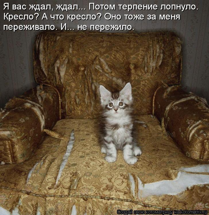 Я вас ждал, ждал... Потом терпение лопнуло. Кресло? А что кресло? Оно тоже за меня переживало. И... н... Котоматрица: Я вас ждал, ждал... Потом терпение лопнуло. Кресло? А что кресло? Оно тоже за меня переживало. И... не пережило.