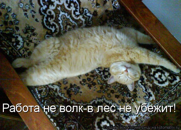 Котоматрица: Работа не волк-в лес не убежит!