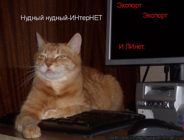 Котоматрица: Нудный нудный-ИНтерНЕТ Экспорт Экспорт И ЛИнет.