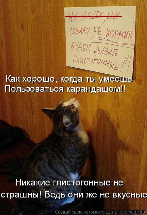 ___________ Как хорошо, когда ты умеешь Пользоваться карандашом!! Никакие глистогонные не страшны! Ве... Котоматрица: ___________ Как хорошо, когда ты умеешь Пользоваться карандашом!! Никакие глистогонные не страшны! Ведь они же не вкусные