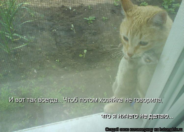 Котоматрица: И вот так всегда...Чтоб потом хозяйка не говорила, что я ничего не делаю... что я ничего не делаю...