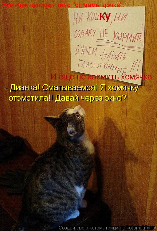 ку И еще не кормить хомячка. - Дианка! Сматываемся! Я хомячку отомстила!! Давай через окно? Хомячек н... Котоматрица: ку И еще не кормить хомячка. - Дианка! Сматываемся! Я хомячку отомстила!! Давай через окно? Хомячек написал типо "от мамы дочке":