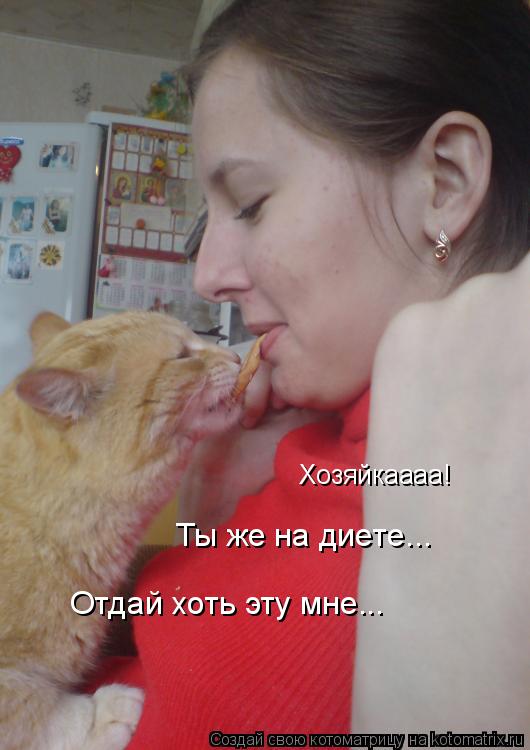 Котоматрица: Хозяйкаааа! Ты же на диете... Отдай хоть эту мне...