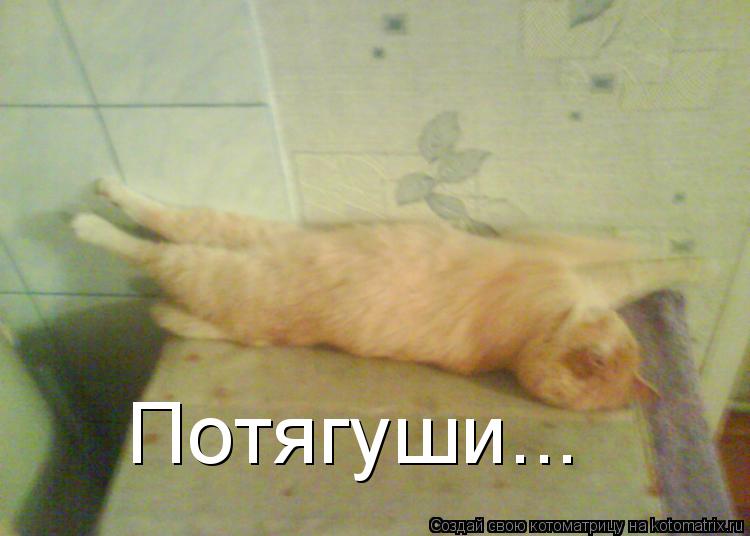 Котоматрица: Потягуши...