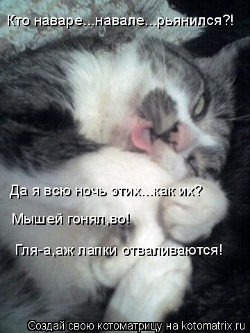 Котоматрица: Кто наваре...навале...рьянился?! Да я всю ночь этих...как их? Мышей гонял,во! Гля-а,аж лапки отваливаются!