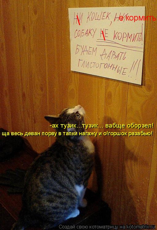 Котоматрица: е кормить! \ \ -ах тузик...тузик... вабще оборзел! ща весь деван порву в тапки нагажу и о!горшок разабью!