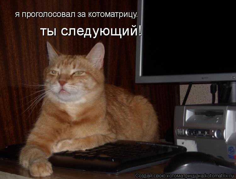 Котоматрица: я проголосовал за котоматрицу. ты следующий!