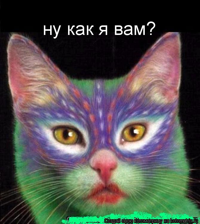 Котоматрица: ну как я вам?