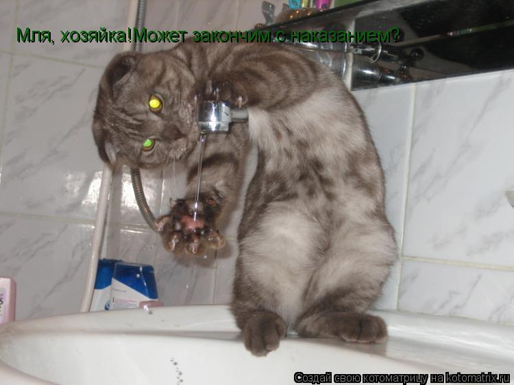 Котоматрица: Мля, хозяйка!Может закончим с наказанием?