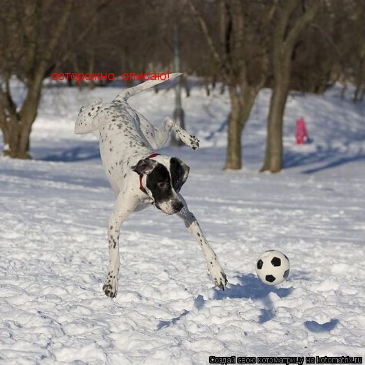 Котоматрица: осторожно  описаю!