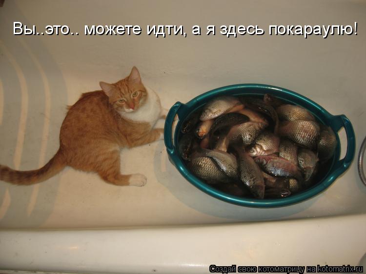 Котоматрица: Вы..это.. можете идти, а я здесь покараулю!
