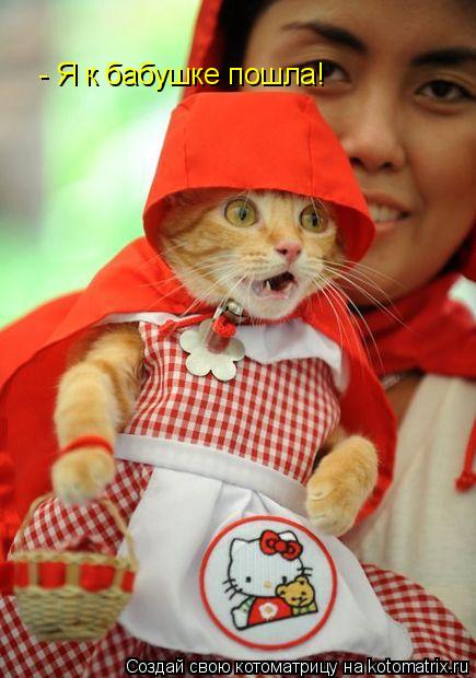 Котоматрица: - Я к бабушке пошла!