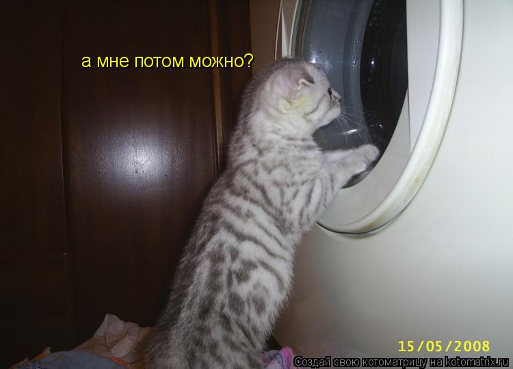 Котоматрица: а мне потом можно?