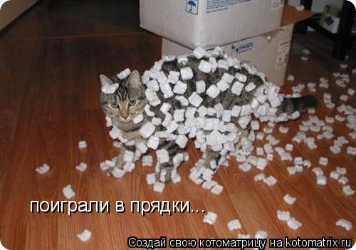 Котоматрица: поиграли в прядки...