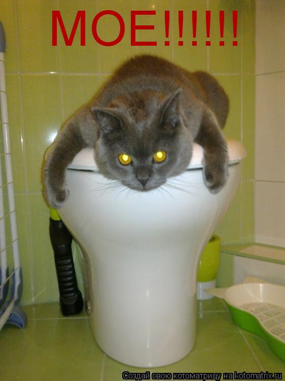 Котоматрица: МОЕ!!!!!!