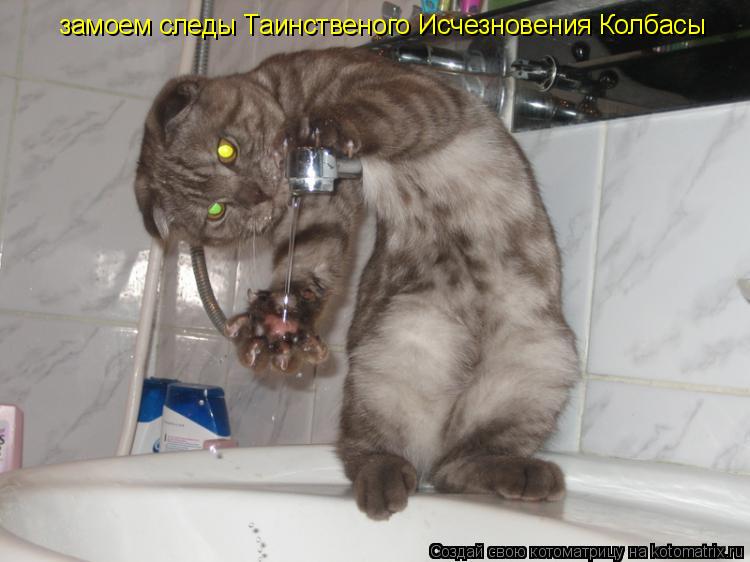 Котоматрица: замоем следы Таинственого Исчезновения Колбасы