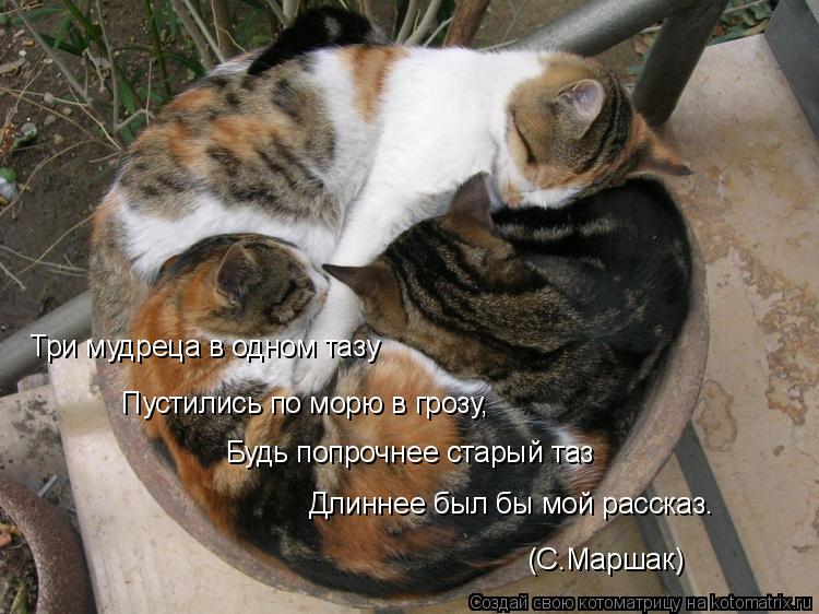 Три мудреца в одном тазу Пустились по морю в грозу, Будь попрочнее старый таз Длиннее был бы мой расс... Котоматрица: Три мудреца в одном тазу Пустились по морю в грозу, Будь попрочнее старый таз Длиннее был бы мой рассказ. (С.Маршак)