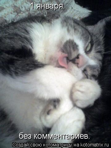 Котоматрица: 1 января. без комментариев.