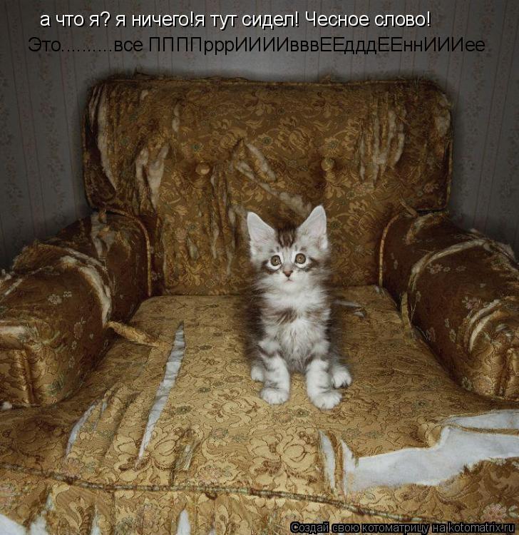 Котоматрица: а что я? я ничего!я тут сидел! Чесное слово! Это..........все ППППрррИИИИвввЕЕдддЕЕннИИИее