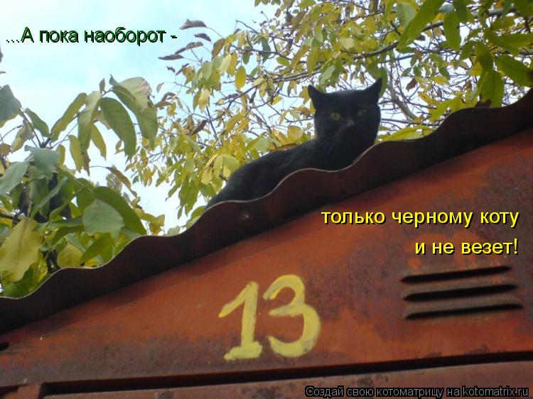 Котоматрица: ...А пока наоборот - только черному коту и не везет!