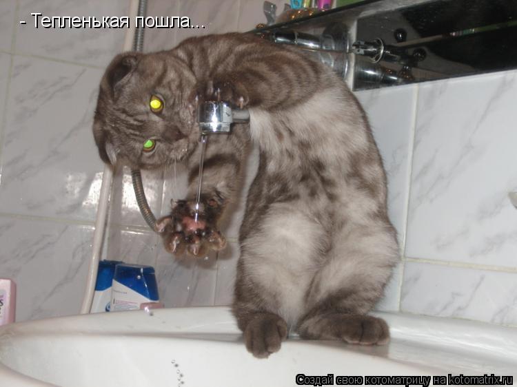 Котоматрица: - Тепленькая пошла...